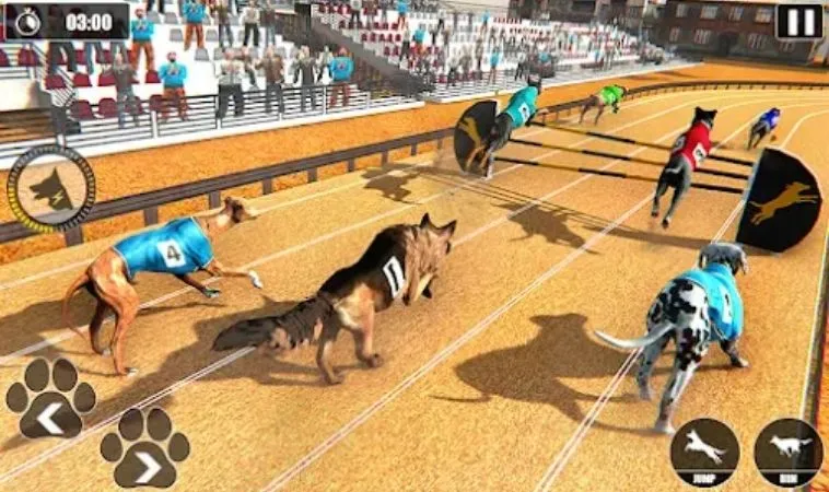 Cách chơi game nhanh Đua Chó 58Win