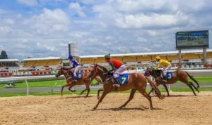 đua ngựa 58Win
